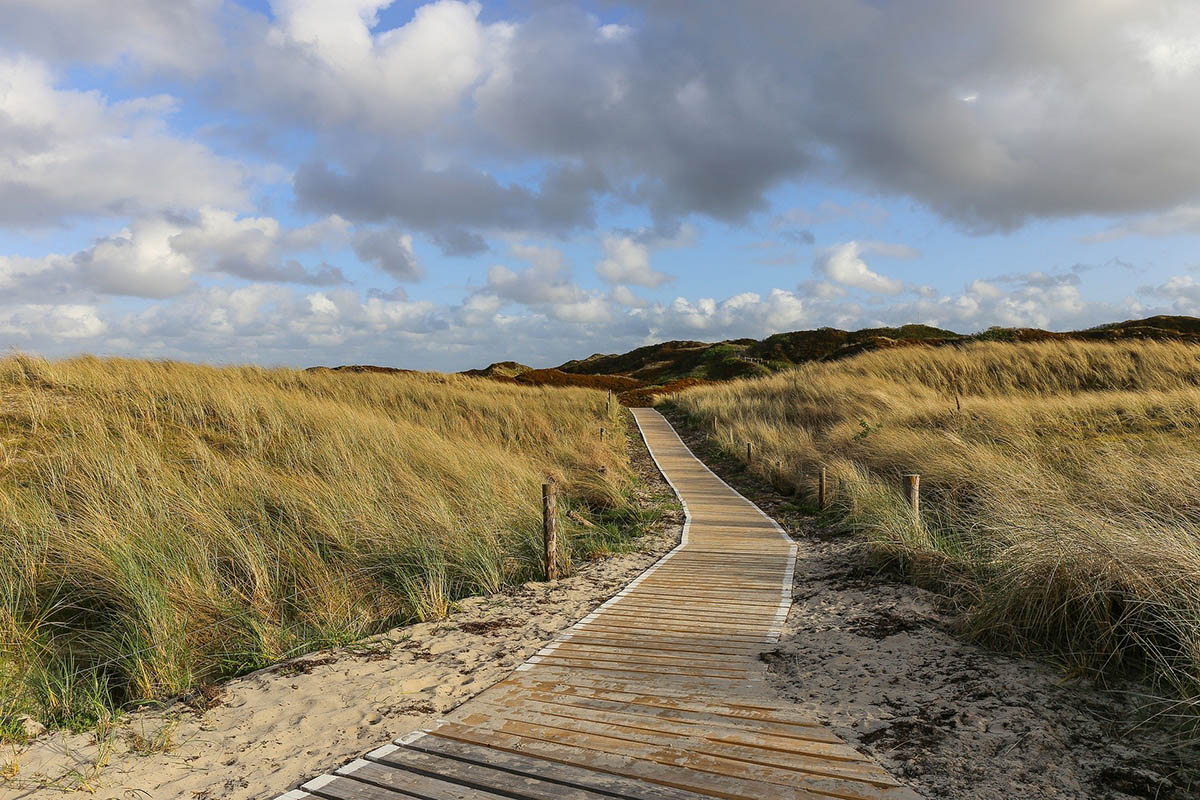 Dünen Spiekeroog